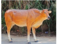 소 조형물 한우 장식품 작은 대형 조각상 공원 축제 108x30x78 cm : 레몬트리글로벌