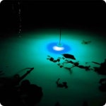 LED 수중 집어등 오징어 주꾸미 호래기 갑오징어 야간 낚시 (A0328) : 용천삼리