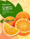 [용문 부경농산]   태양의 맛! 과즙 팡팡 호주산 프리미엄 오렌지 5-6개 (간편한 비타민) : 용문 부경농산