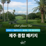 제주 종합 4인 패키지 [1박2일 오라cc+캐슬렉스cc 36홀+골프텔+차량] : 골드레저