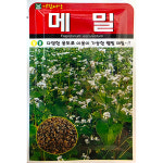 메밀 30g 메밀씨앗 : 중앙종묘농약사