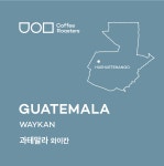 과테말라 와이칸  200g : 유의미커피로스터즈
