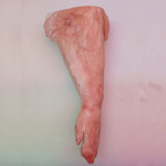 돼지 앞족발 최소중량 1.9kg 가성비 족발 슈바인학센 족탕 오스트리아 : 집앞정육점