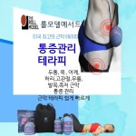 요가툰업볼 테라피볼 플러스 롤모델 볼테라피 요가튠업  통증care 근막테라피 자세교정 MUST HAVE ITEM : 요가툰업코리아