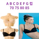 비너스와코루솔브충주점 | 비너스 솔브 심플 기본 베이직 매일입는 데일리제품 70G75F80E85D [SBRD288] : 비너스와코루솔브 김해서상점
