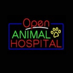 동물 병원 오픈 발자국 맞춤형 수제 진짜 유리 튜브 고양이 클리닉, 애완견 광고 장식 디스플레이, 네온 사인 라이트, 19x15 인치 : 교토신사
