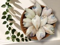 반건조 가자미 생선 세트 : 오월수산