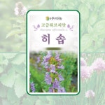 다농 히솝씨앗 허브류1g : 다솜드리