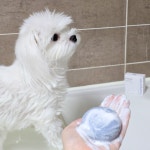 마카네이쳐 반려동반 아로마 펫샴푸바 펫샴푸비누 : 마카네이쳐