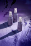 트리센스 미용실 헤어에센스 단백질 헤어오일 세럼 열손상방지 스미다 오일 100ml : 아이팔 미용재료