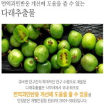 면역밸런스엔 다래추출물 키즈 환절기 액상스틱 10g 60포 : 보이는 향기