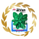 곰보배추씨앗 1000립 경신종묘 배암차즈기종자 : 흙에살리라