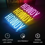 삼색 Howdy LED 네온 사인 스토어 웰컴 조명, USB 전원 벽 장식, 바 파티 뷰티 상점 : 교토신사