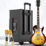 행사 스피커 교회 공연용 강당 이동식 야외 무선 블루투스 버스킹 대형 12인치 : 글로벌유희