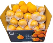 산지직송 제주 노지한라봉 9kg, 1개 : 신대로 청과