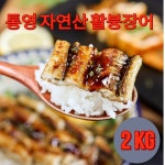 자연산 통영 활붕장어 2kg : 씨앗댁