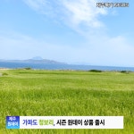 매일출발 제주도 여행 가파도  버스투어 : 다다투어