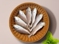 반건조 조기 침조기 참조기 SET : 오월수산