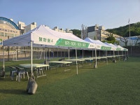 천막렌탈 천막대여 캐노피 : 캐노피 천막렌탈