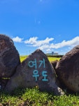 캔디투어 [전국출발] 제주도&우도&가파도 봄여행 유채꽃 청보리 2박3일 패키지 국내여행지 : 캔디투어