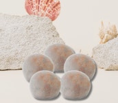 em 흙공 EM 흙공 완제품 5개 세트 : 맘마미아 리빙스토어