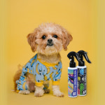 젠트웰브 살롱 포뮬라 미스트 120ml 강아지 고양이 ZEN12 MIST 젠12 : 바른동물생활