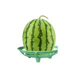 수박 거치대 땅벌레 방지 과수원 호박 받침틀땅꽂이 받침 텃밭 비닐하우스 50개 : 글로픽몰2