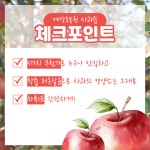 사과사랑예산삽티농원 | [ 예당호농원 ] 3월 이벤트) 예산사과 부사 4kg ( 11~19과 ) + 사과즙 : 예당호농원