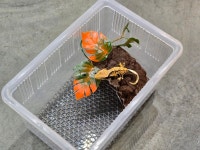 깔아바 과습방지매트 적재형케이지 중전용 바닥재 : 뉴런렙타일