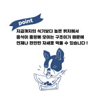 [페티오] 스톤웨어 강아지 밥그릇 깨끗하고 냄새없는 세라믹 애견식기 : 페티오