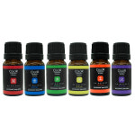 노아코스메틱 아로마컬러테라피 에센셜오일 10ml : 노아코스메틱