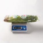 청도 미나리 500g : 대한민국농수산