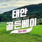 태안 골든베이CC 27H 1박2일패키지 36홀 조인가능 충청도골프 : 우리-남해사우스케이프CC