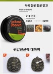 거북이 등갑 곰팡이 균 관리 예방 육지거북이 쉘랏 연고 30g : 앙카팩토리