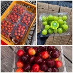 과일용기 KMD-506 1BOX 400개 딸기 500g 방울토마토 블루베리 아로니아 : 국대포장산업