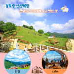 [기차여행] 영주 부석사&협곡열차와몽토랑 산양목장 : 울산출발국내여행