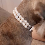 패션 고양이 개 목걸이 및 가죽 끈 세트, 애완 동물 액세서리, 마스코트 PU 진주 용품 : 카르디마트