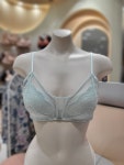 비너스 25SS봄 메인 샤인블라썸 CD컵브라 팬티 MT VBR0995.H : AK플라자 수원점 비너스