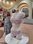 비너스 25SS봄 메인 샤인블라썸 EF컵브라 팬티 VBR0995.S : AK플라자 수원점 비너스