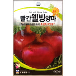 빨간웰빙양파 800립 : 중앙종묘농약사