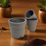 커피박 화분 친환경 생분해 커피 화분 대 중 소 : 맘마미아 리빙스토어