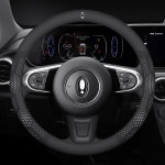 만리장성 ORA iQ GT 좋은 고양이 발레 EV 플래시 탄소 섬유 스웨이드 자동차 핸들 커버, 액세서리 : 애견용사