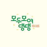 반려견학교 모두모여댕댕 독피트니스 클래스 (모모댕댕 대구 애견 유치원) : 모모댕댕