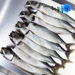 해물총각 국내산 간고등어 구이 조림 손질 자반 고등어 2.7kg, 1개 : 해물총각