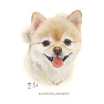 [지니콩] 반려동물(강아지,고양이) 정밀초상화 : 지니콩