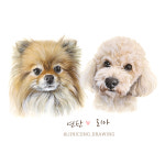 [지니콩] 반려동물(강아지,고양이) 정밀초상화 : 지니콩
