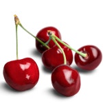 안심 프리미엄 칠레산 생 체리 항공직송 : 산월애팜