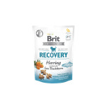 브릿 케어 강아지항산화 회복 기능성 펑셔널스낵 리커버리청어150g : 퍼피파우더