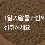 국내산 실속형 어성초환 500g 파는곳 : 모레바