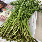 무농약 미나리 GAP인증 1kg,2kg : 제철진흥원